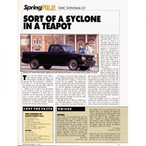 Read more about the article Sort of a Syclone in a Teapot